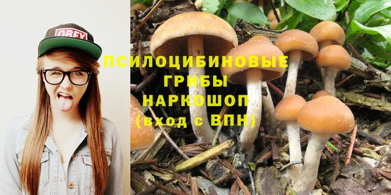 Галлюциногенные грибы Magic Shrooms  darknet состав  Железногорск 